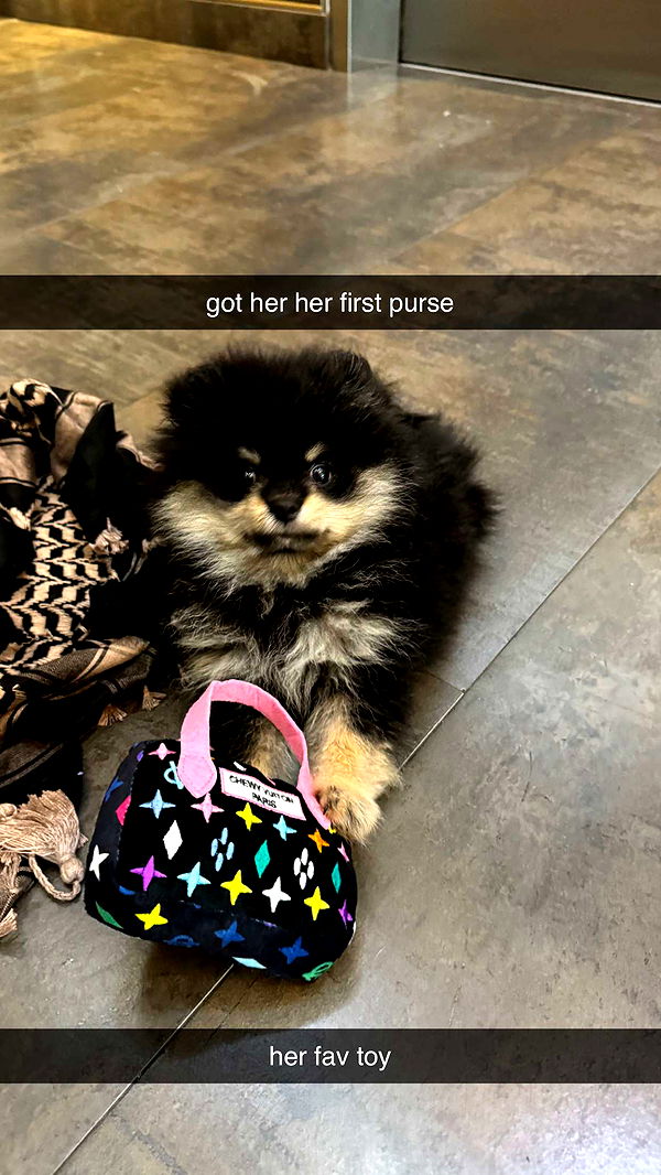 kaygcarlson image ~ Altpins