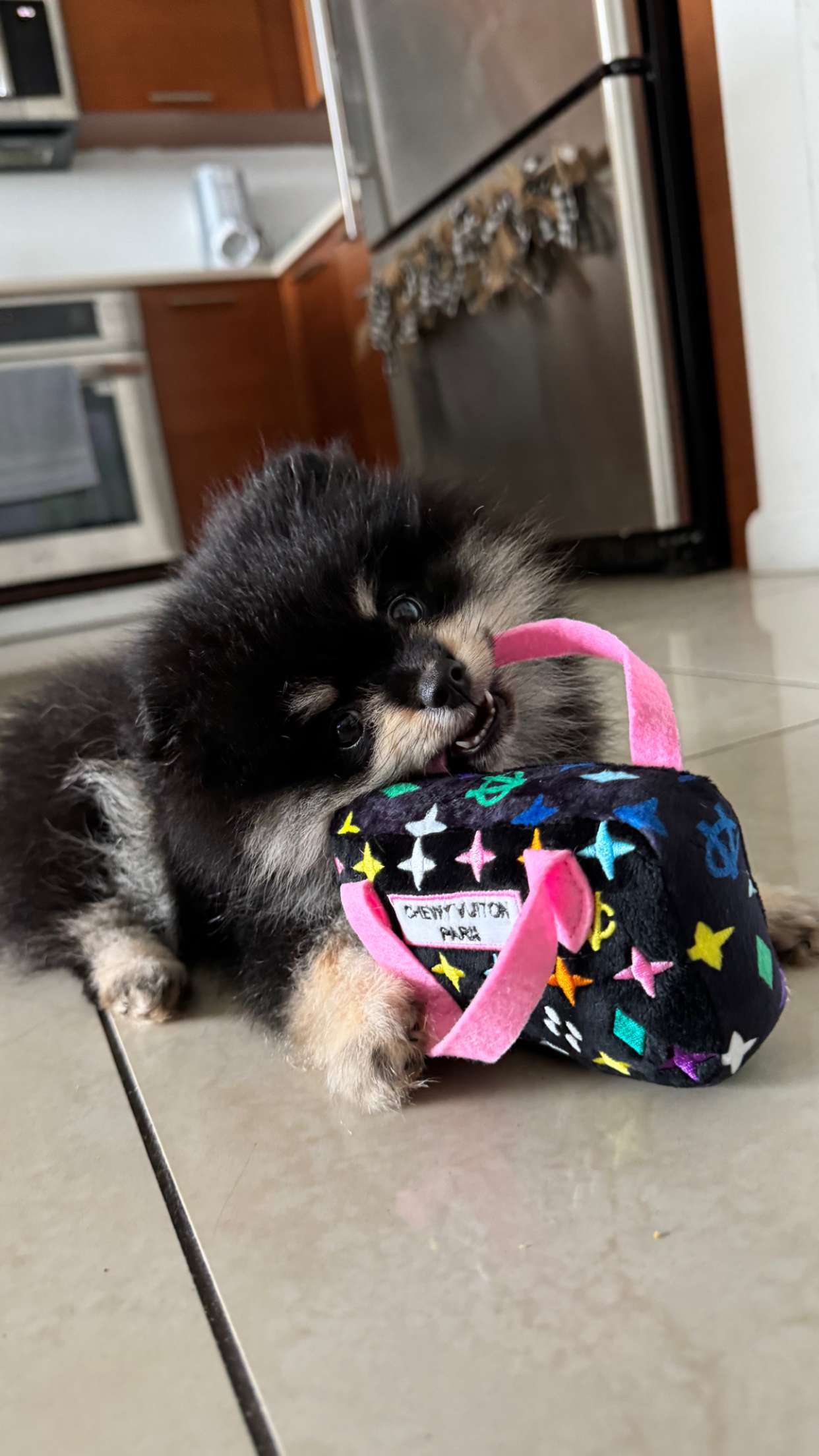 kaygcarlson snapchat image archive image