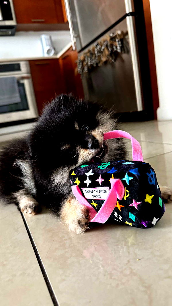 kaygcarlson image ~ Altpins