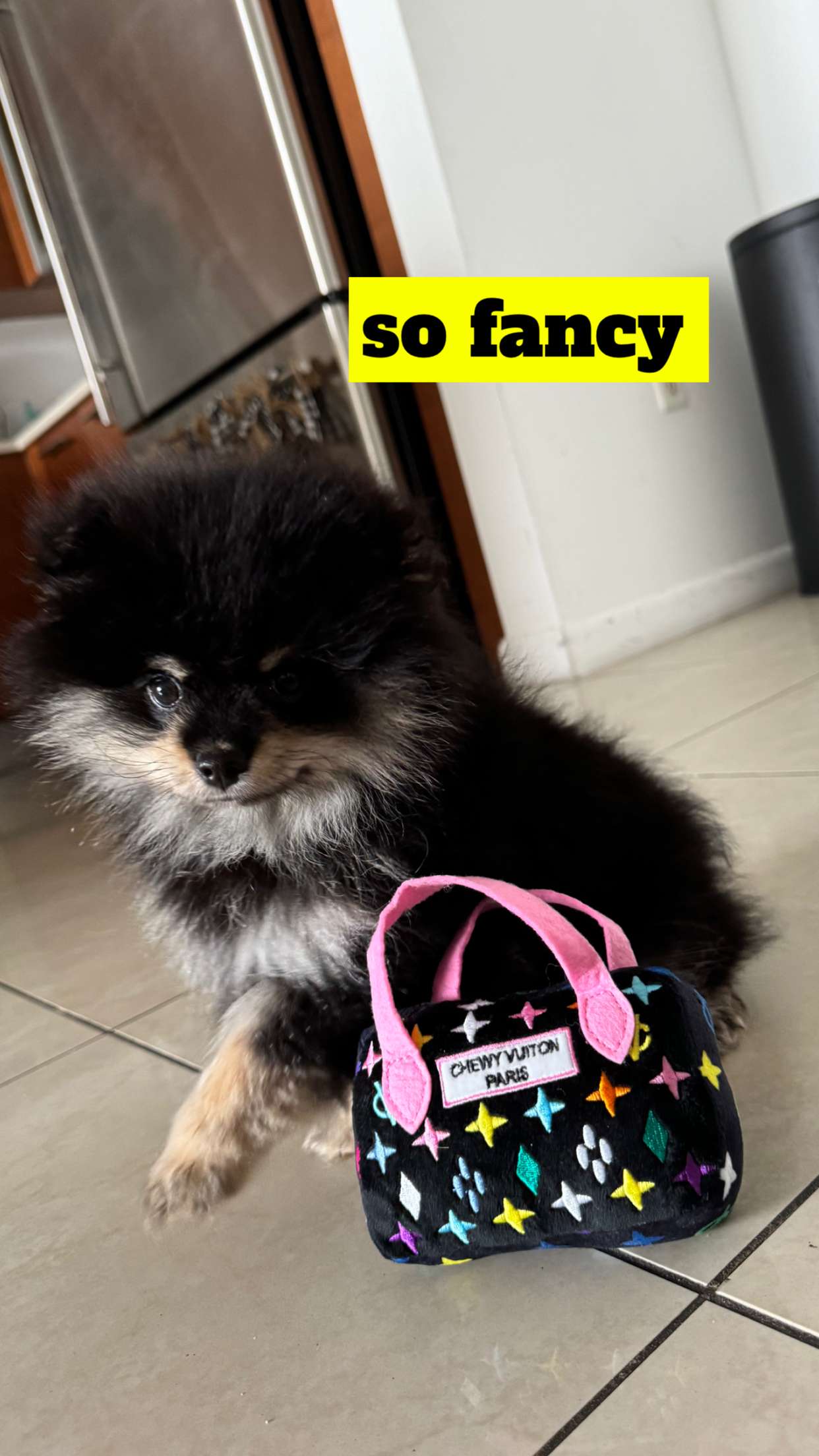 kaygcarlson snapchat image archive image