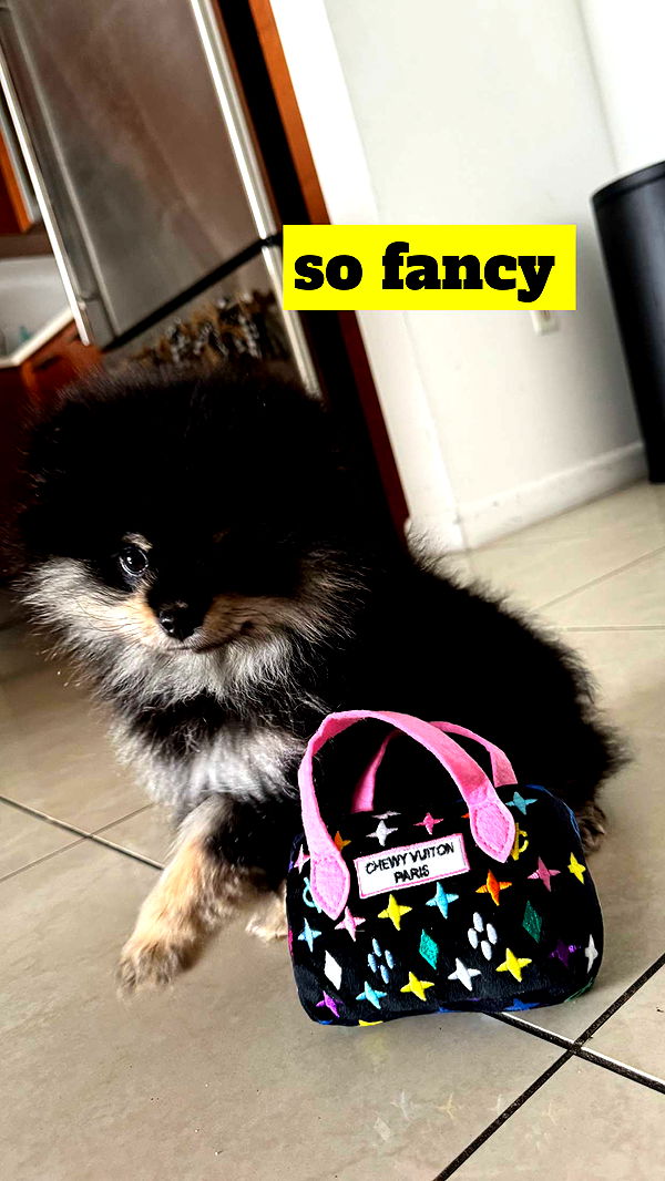 kaygcarlson image ~ Altpins