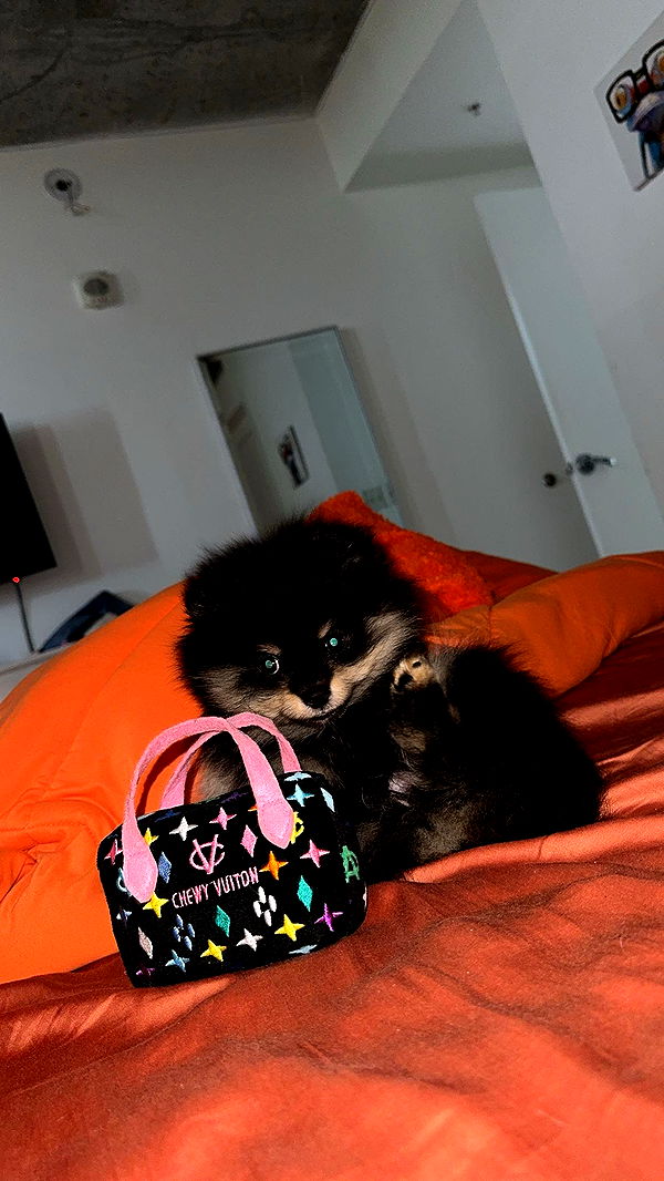 kaygcarlson image ~ Altpins