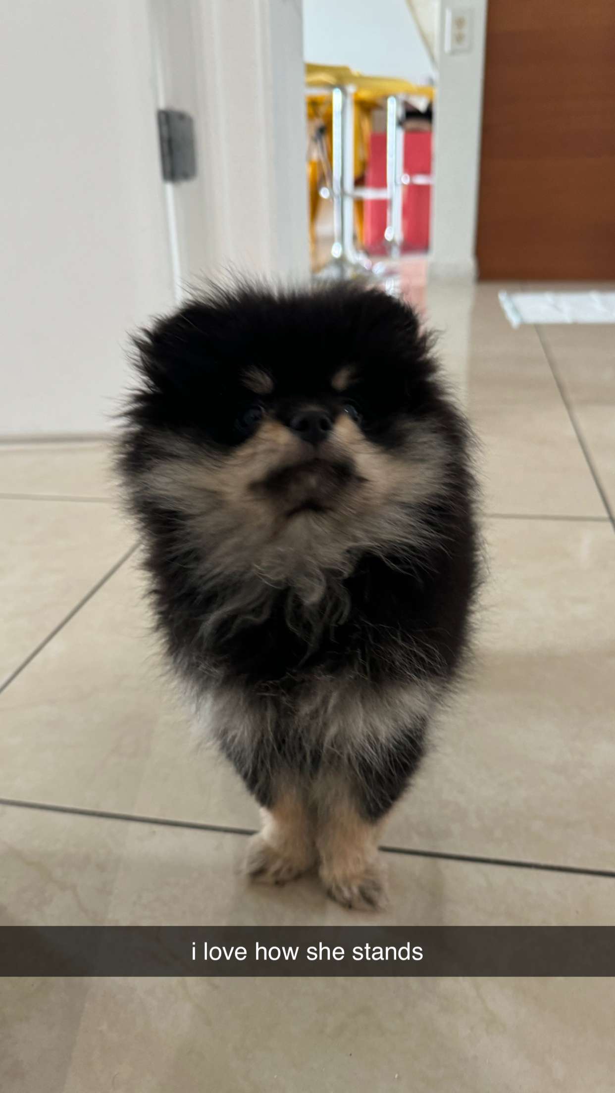 kaygcarlson snapchat image archive image