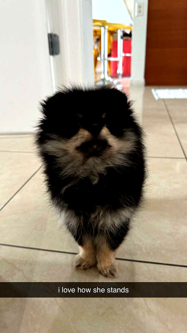 kaygcarlson image ~ Altpins