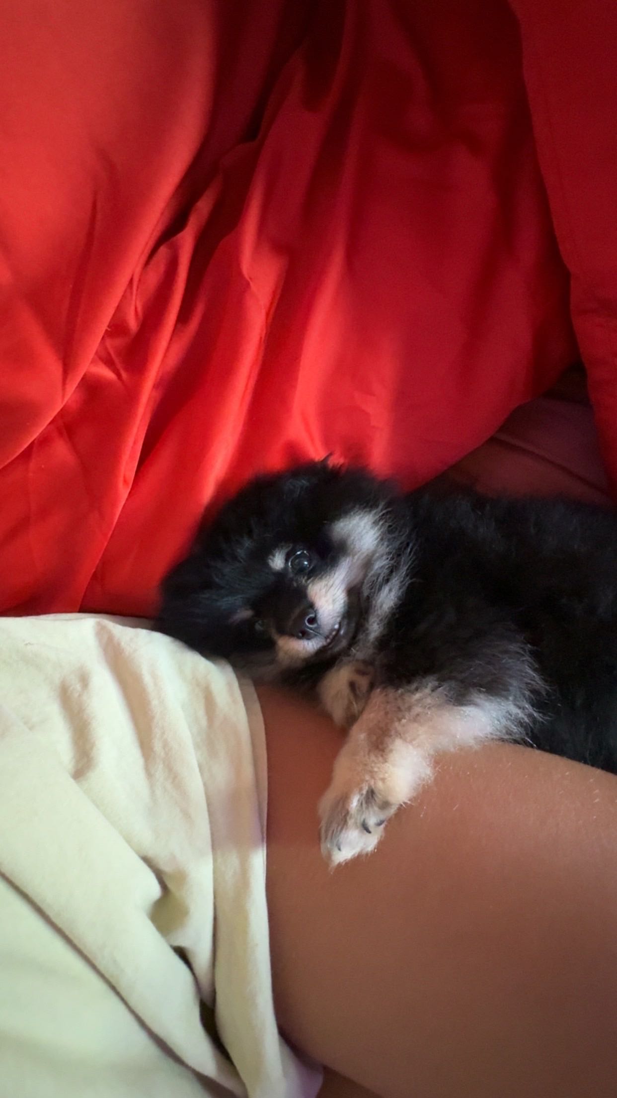 kaygcarlson snapchat image archive image