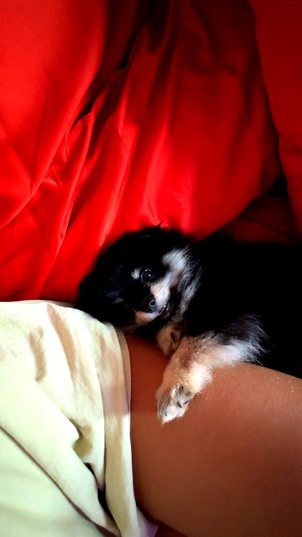 kaygcarlson image ~ Altpins