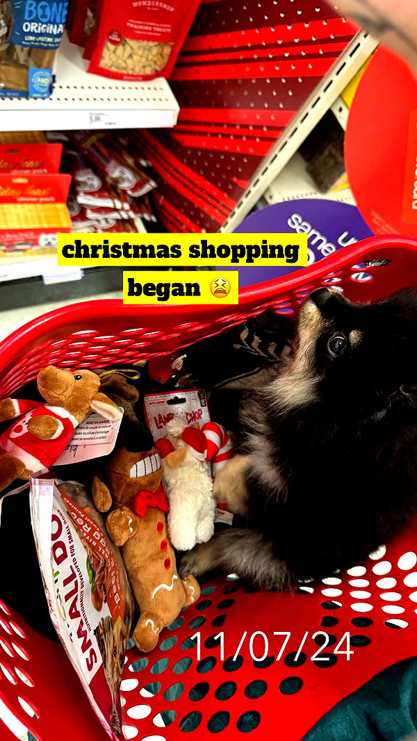 kaygcarlson image ~ Altpins