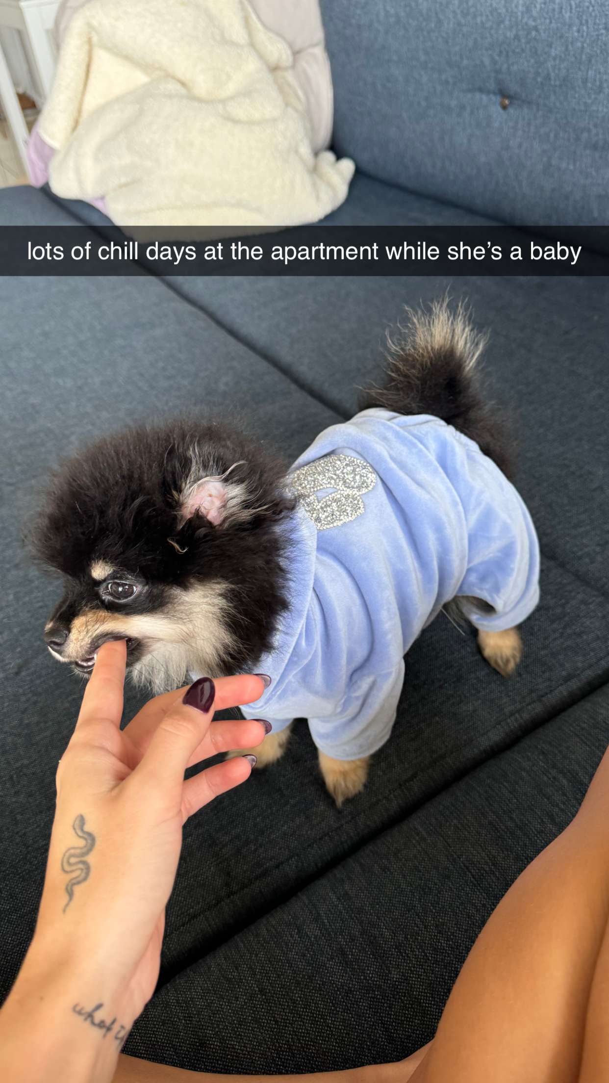 kaygcarlson snapchat image archive image