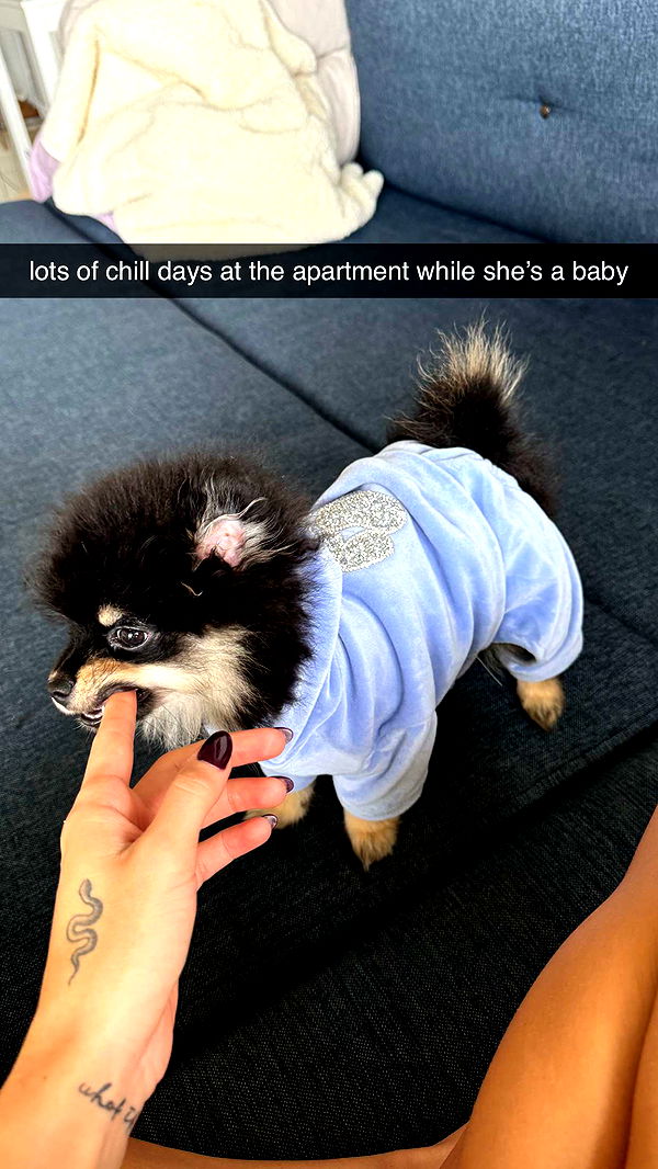 kaygcarlson image ~ Altpins