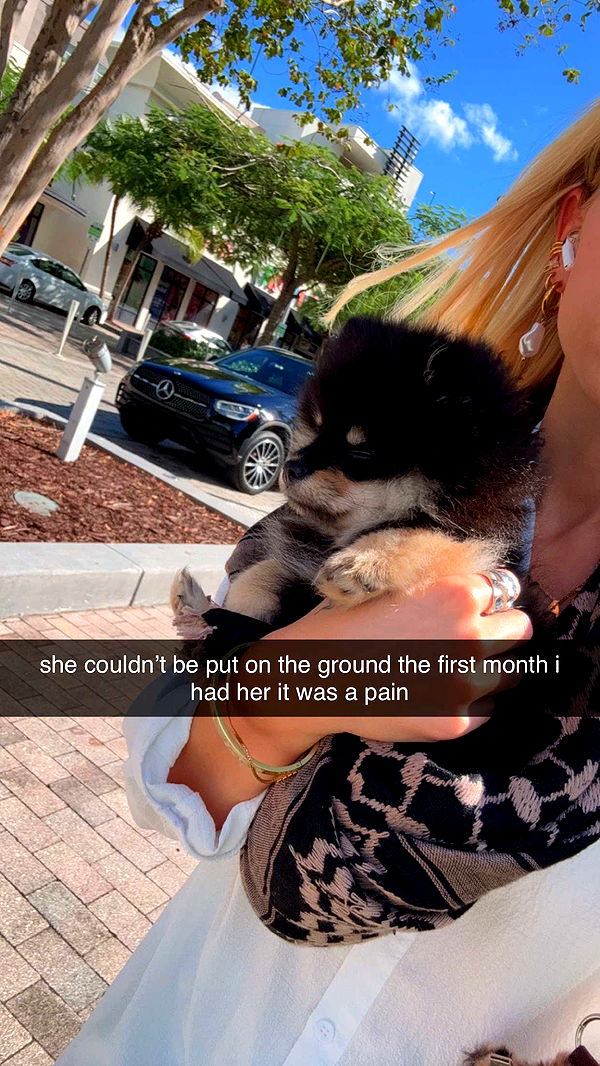 kaygcarlson image ~ Altpins