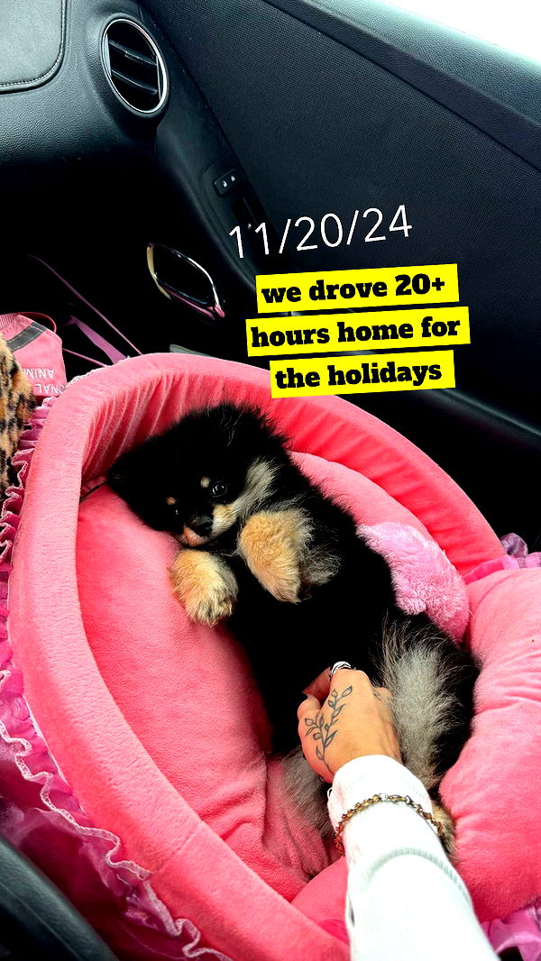 kaygcarlson image ~ Altpins