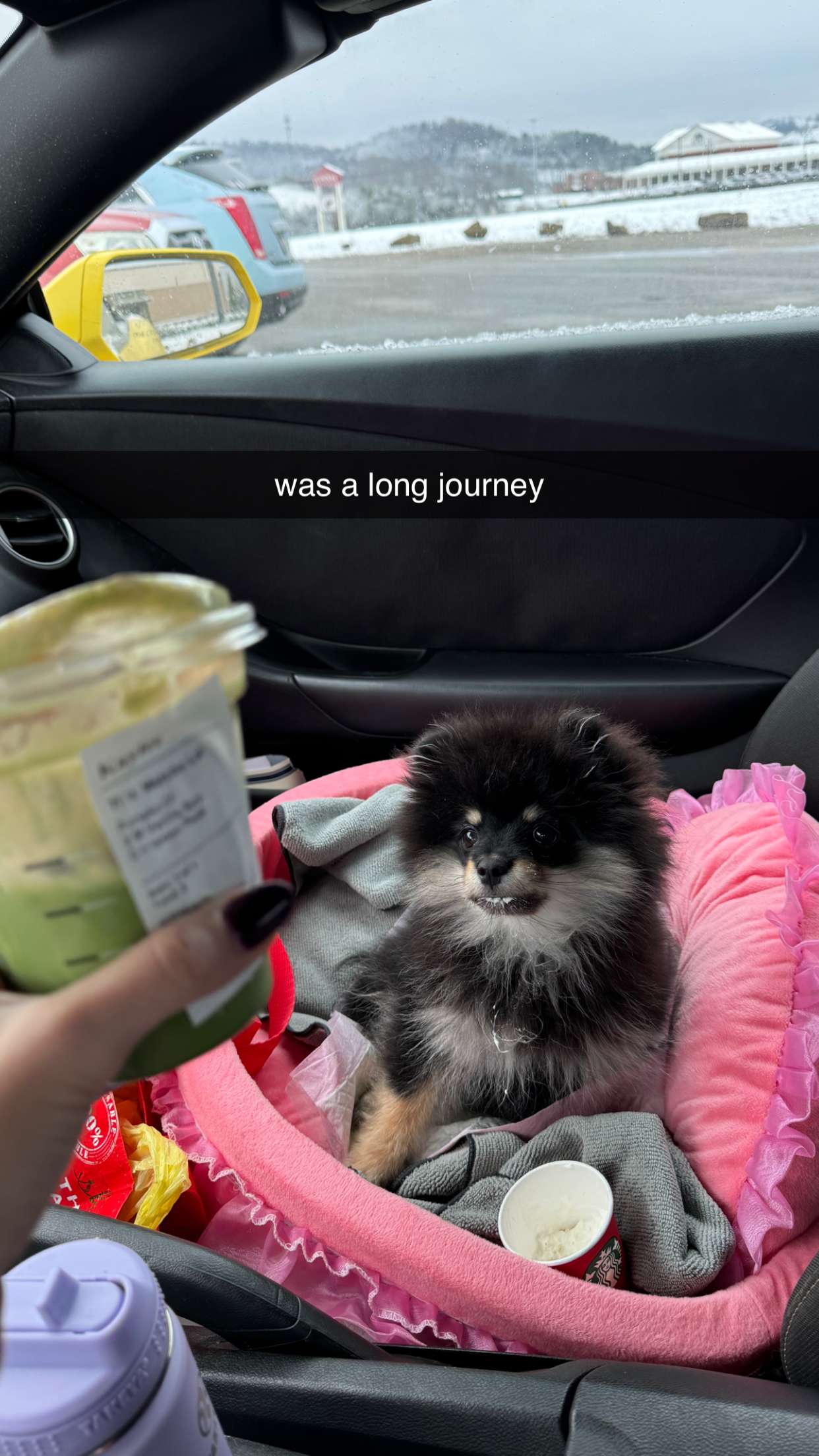 kaygcarlson snapchat image archive image