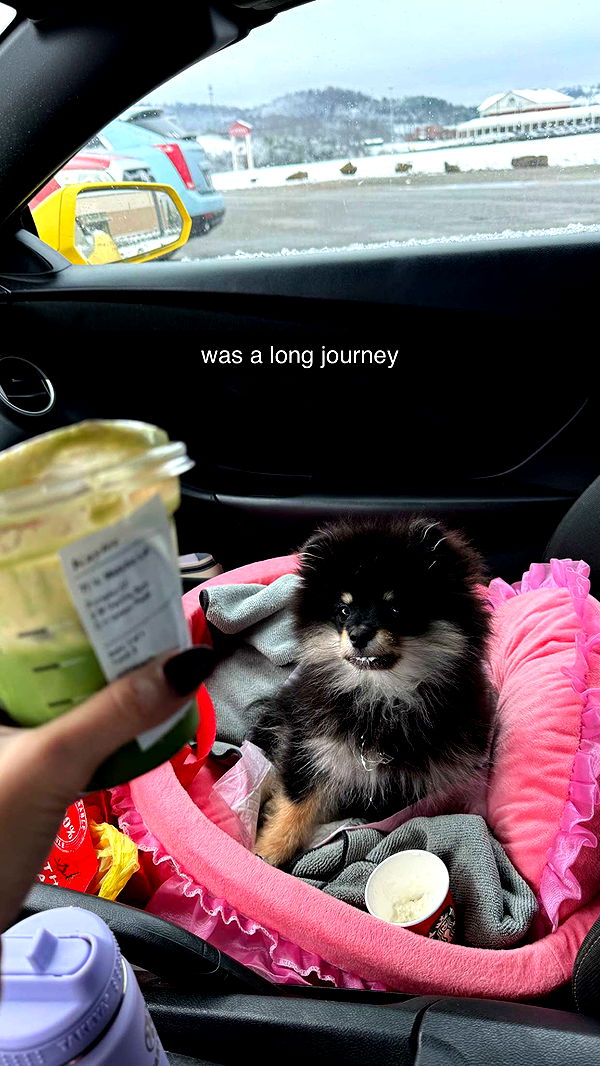 kaygcarlson image ~ Altpins