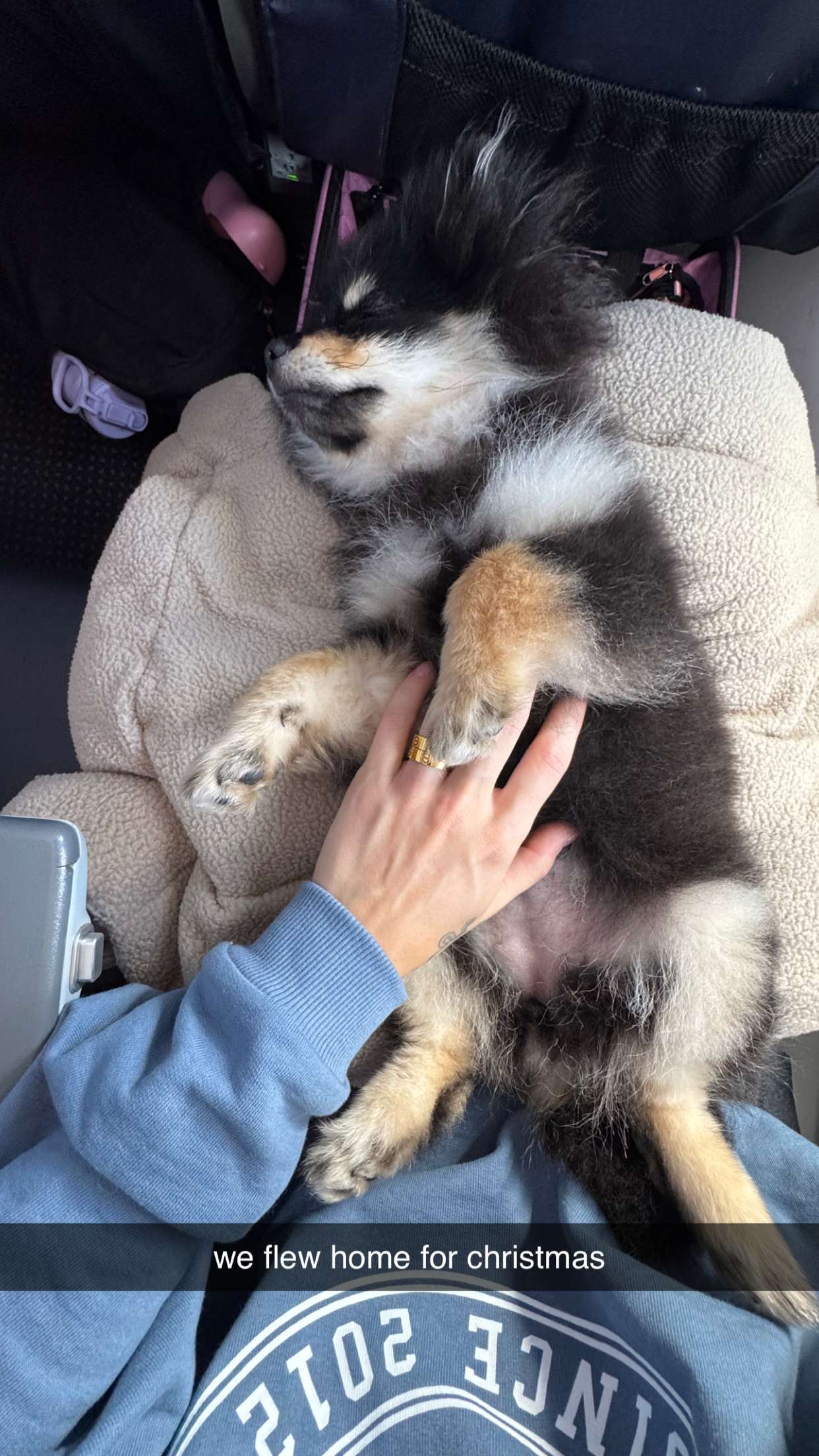 kaygcarlson snapchat image archive image