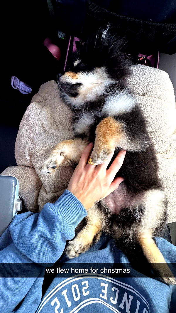 kaygcarlson image ~ Altpins