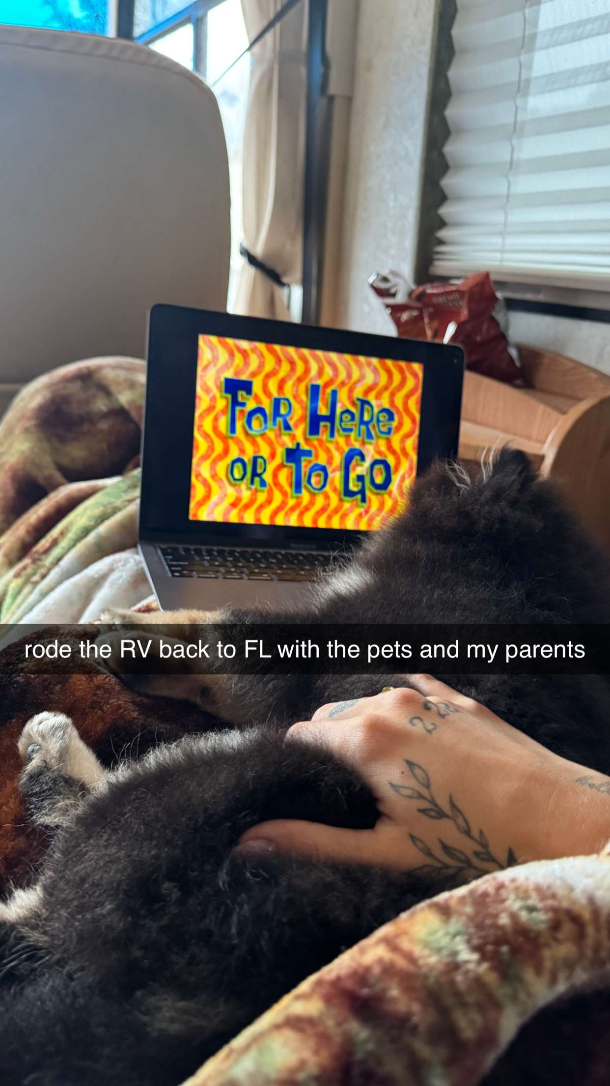 kaygcarlson snapchat image archive image