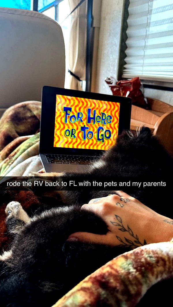 kaygcarlson image ~ Altpins