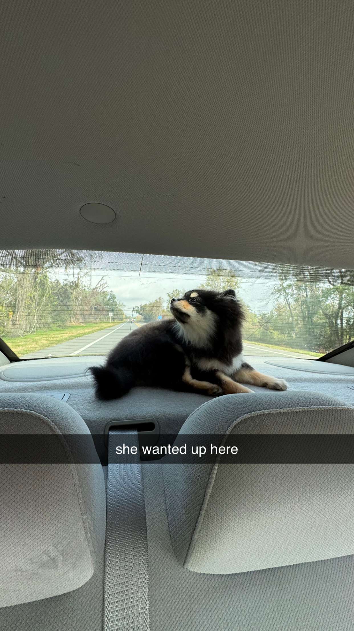 kaygcarlson snapchat image archive image