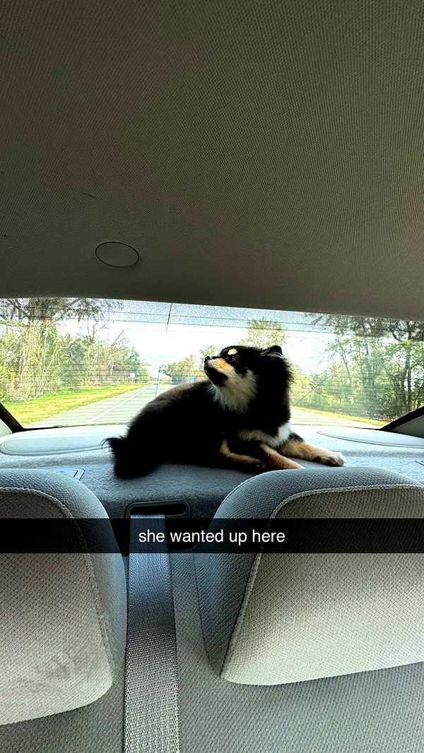 kaygcarlson image ~ Altpins