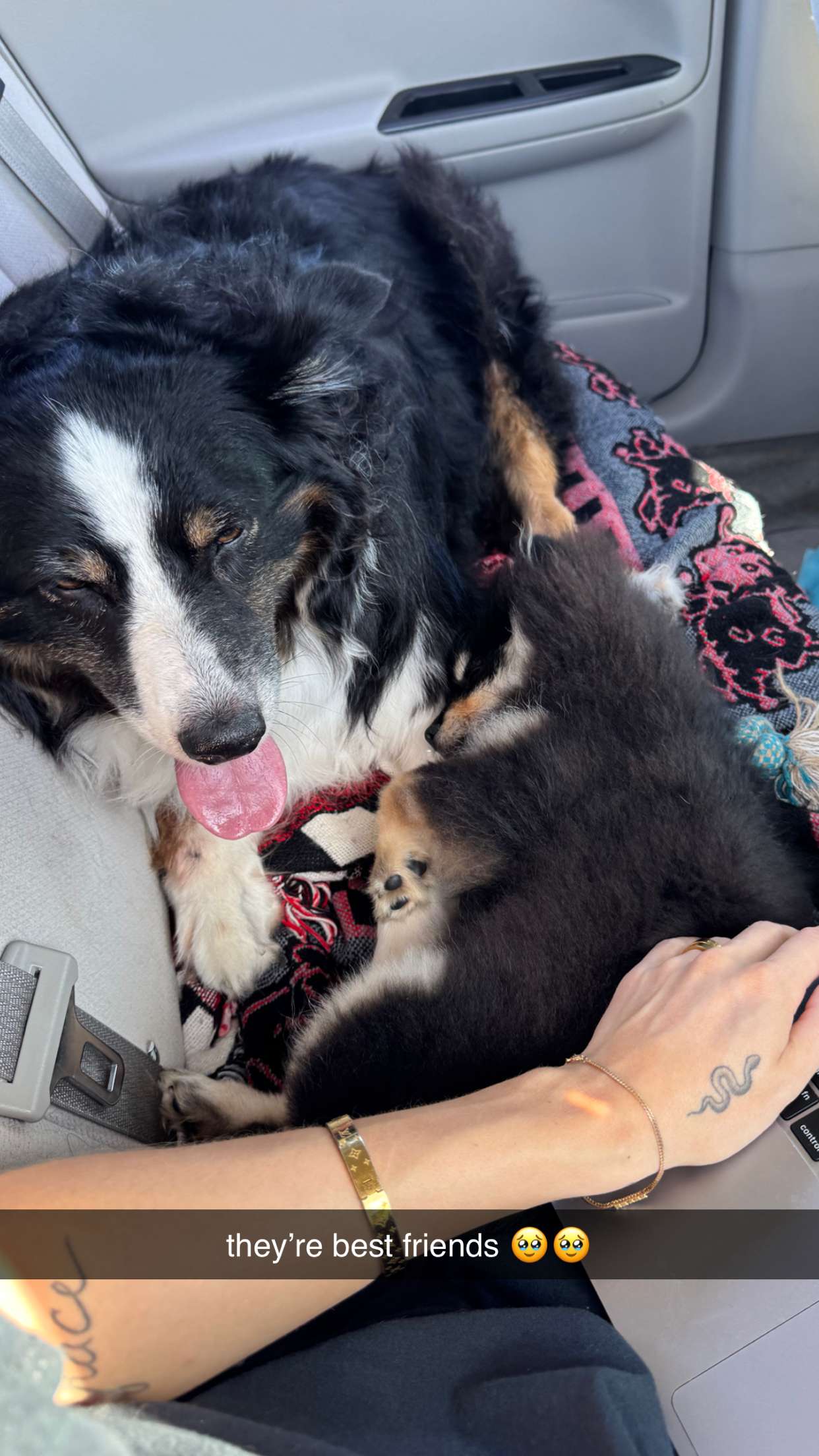 kaygcarlson snapchat image archive image