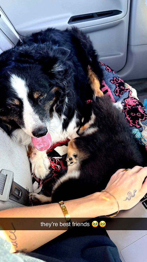 kaygcarlson image ~ Altpins