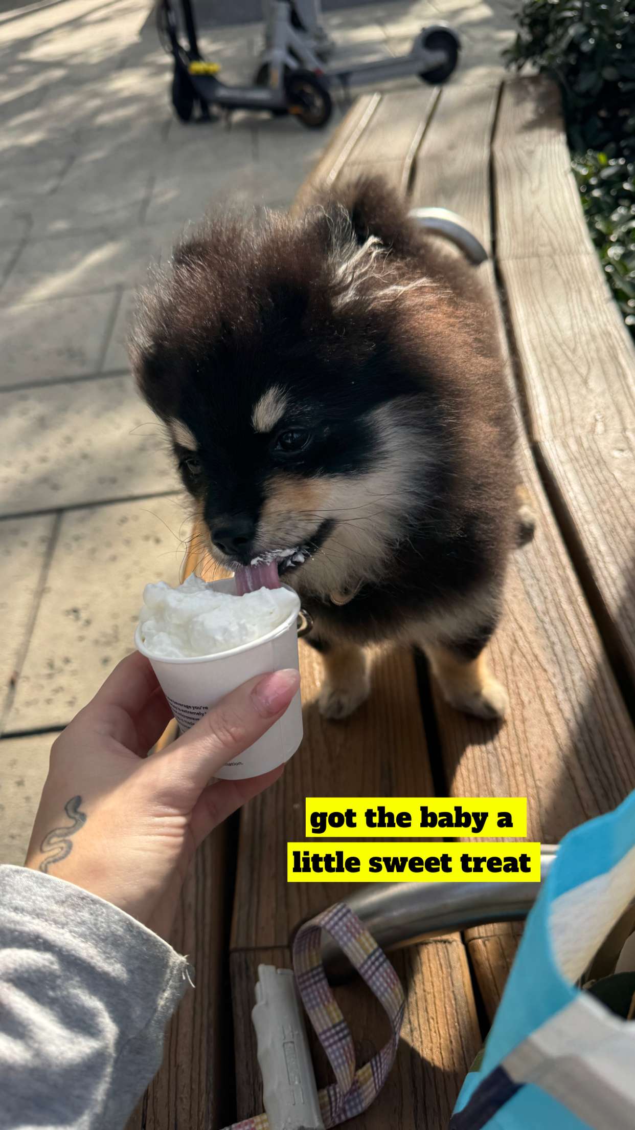 kaygcarlson snapchat image archive image