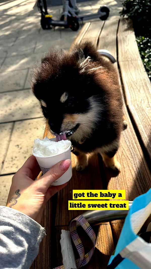 kaygcarlson image ~ Altpins