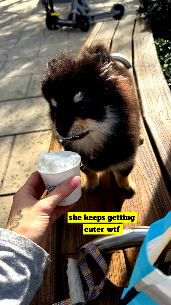 kaygcarlson image ~ Altpins