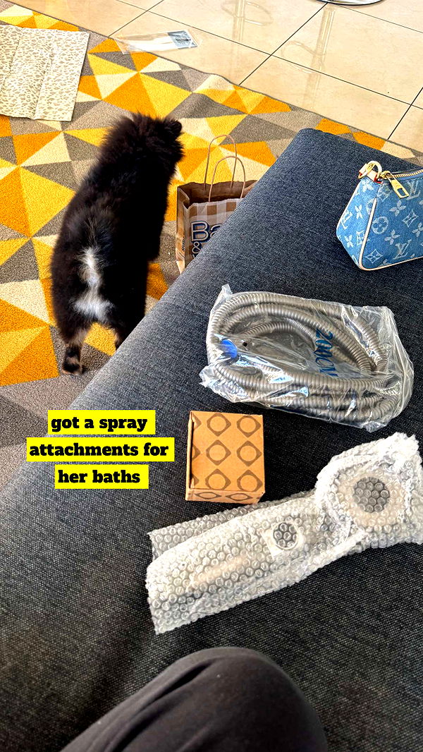 kaygcarlson image ~ Altpins