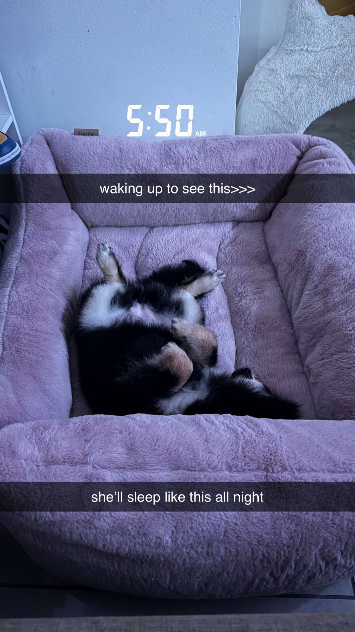 kaygcarlson snapchat image archive image