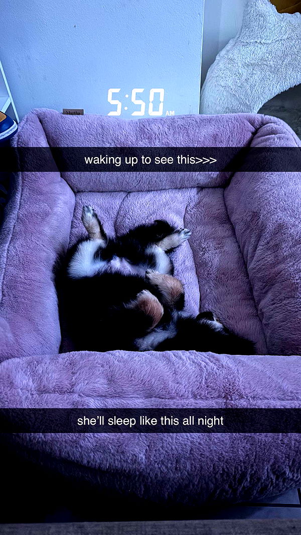 kaygcarlson image ~ Altpins