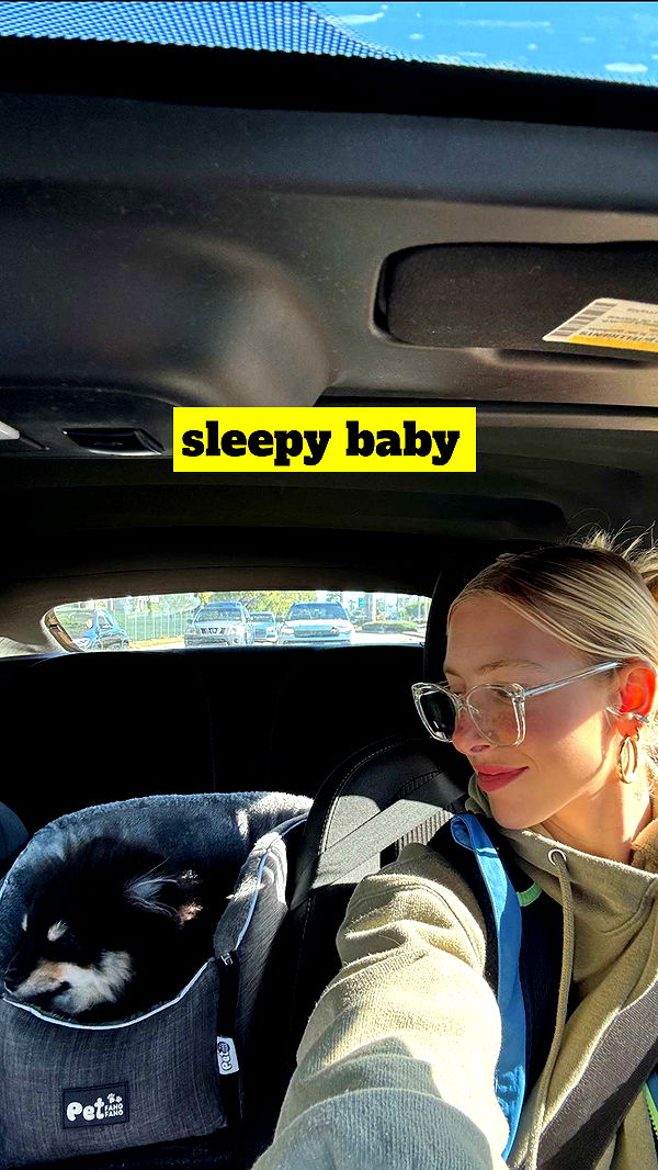 kaygcarlson image ~ Altpins