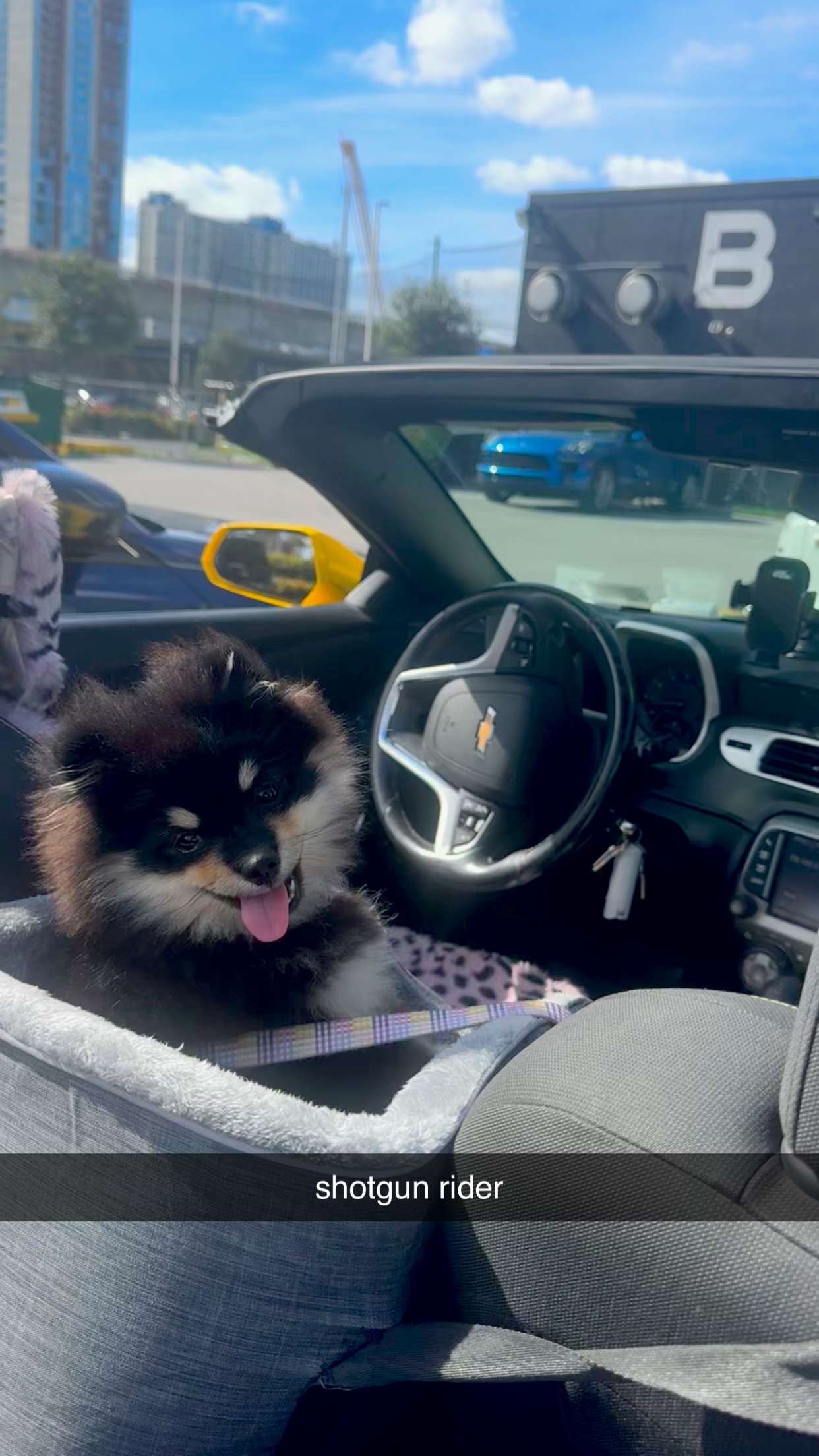 kaygcarlson snapchat image archive image