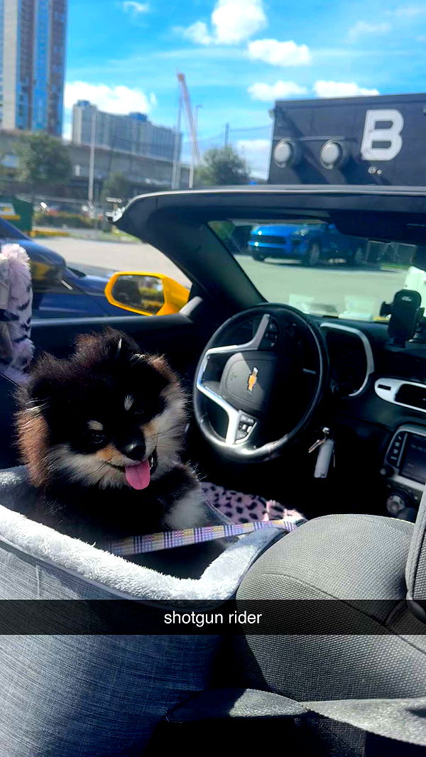 kaygcarlson image ~ Altpins