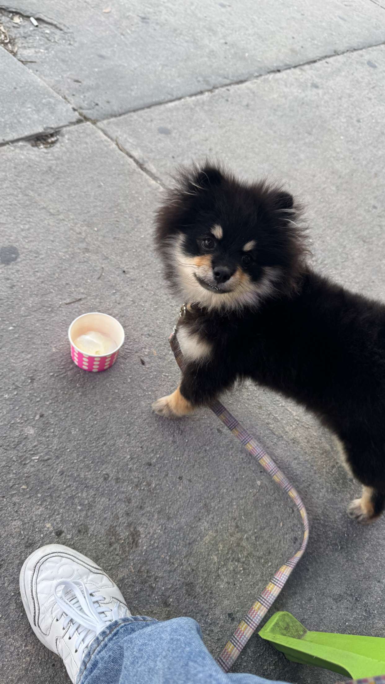 kaygcarlson snapchat image archive image