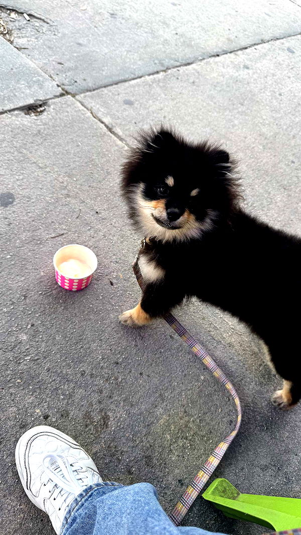 kaygcarlson image ~ Altpins