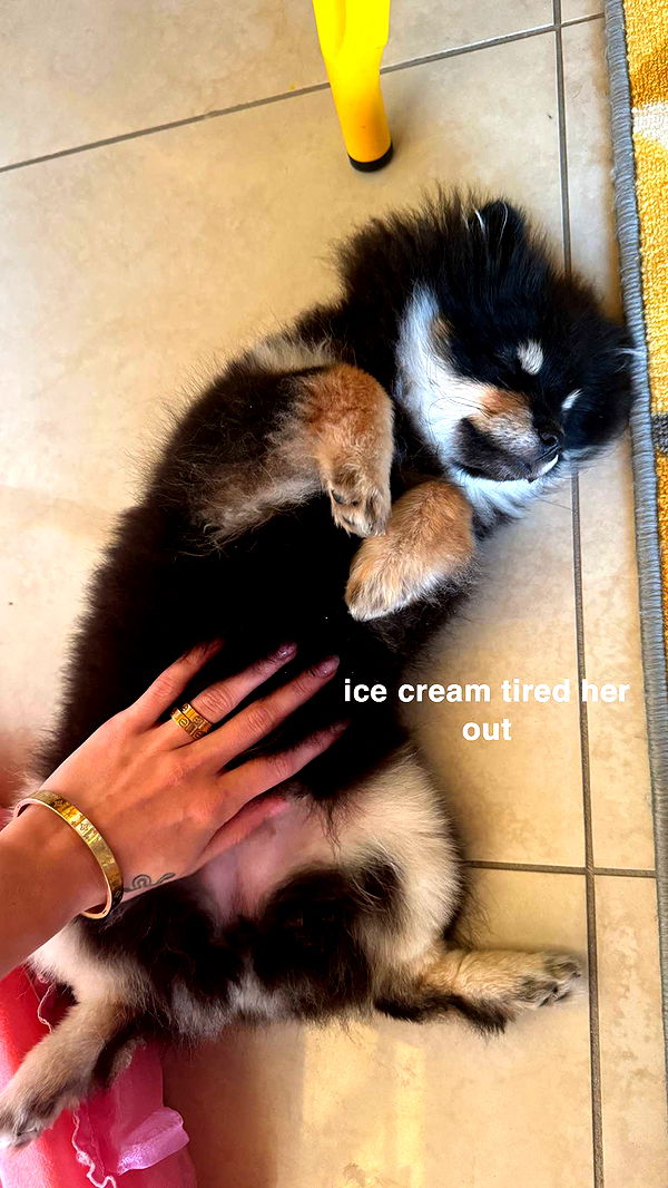 kaygcarlson image ~ Altpins