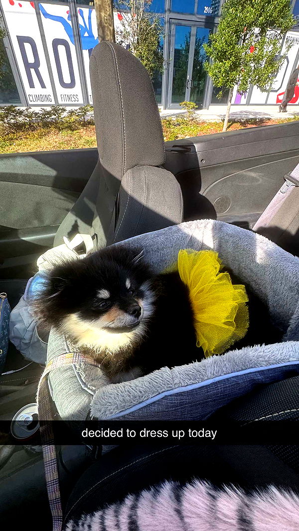 kaygcarlson image ~ Altpins