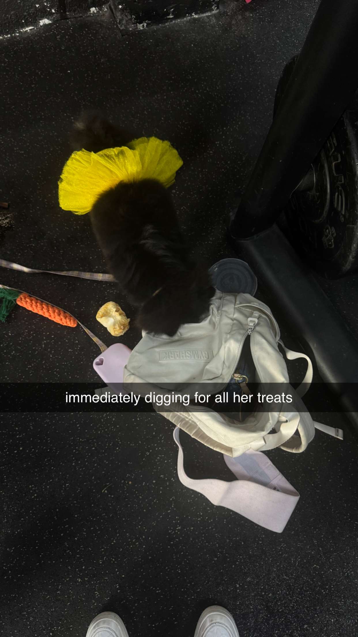 kaygcarlson snapchat image archive image