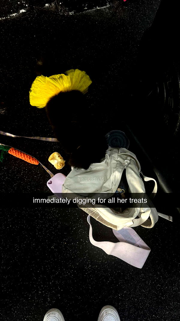 kaygcarlson image ~ Altpins