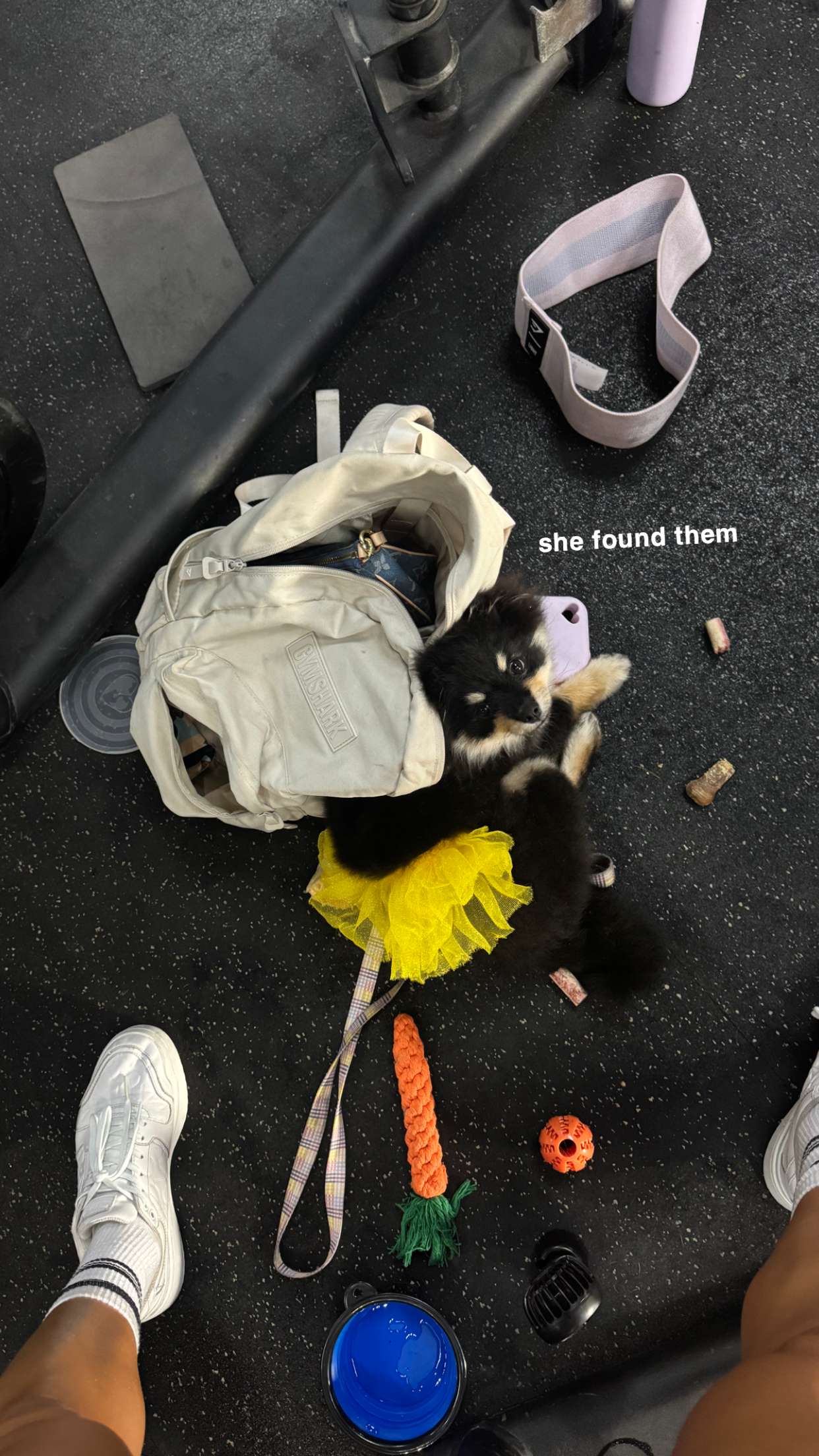 kaygcarlson snapchat image archive image