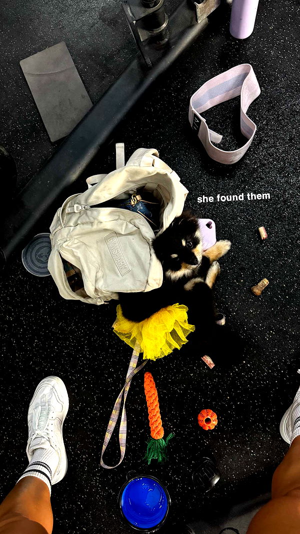 kaygcarlson image ~ Altpins