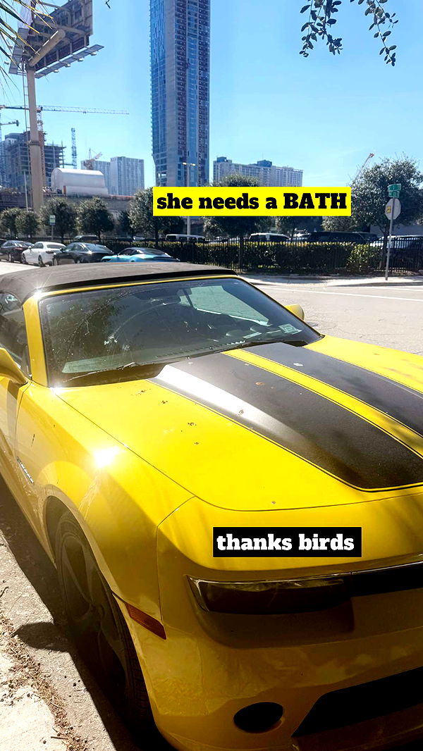 kaygcarlson image ~ Altpins