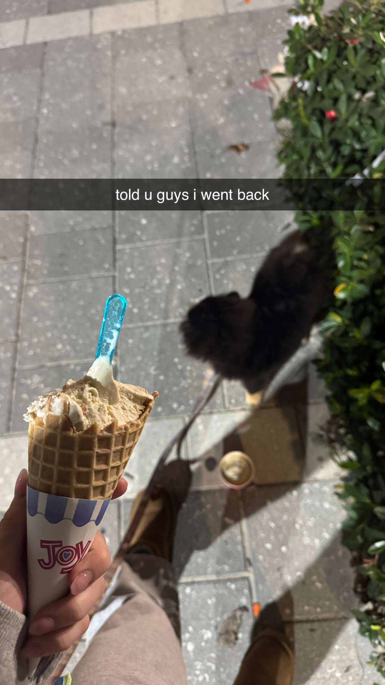 kaygcarlson snapchat image archive image