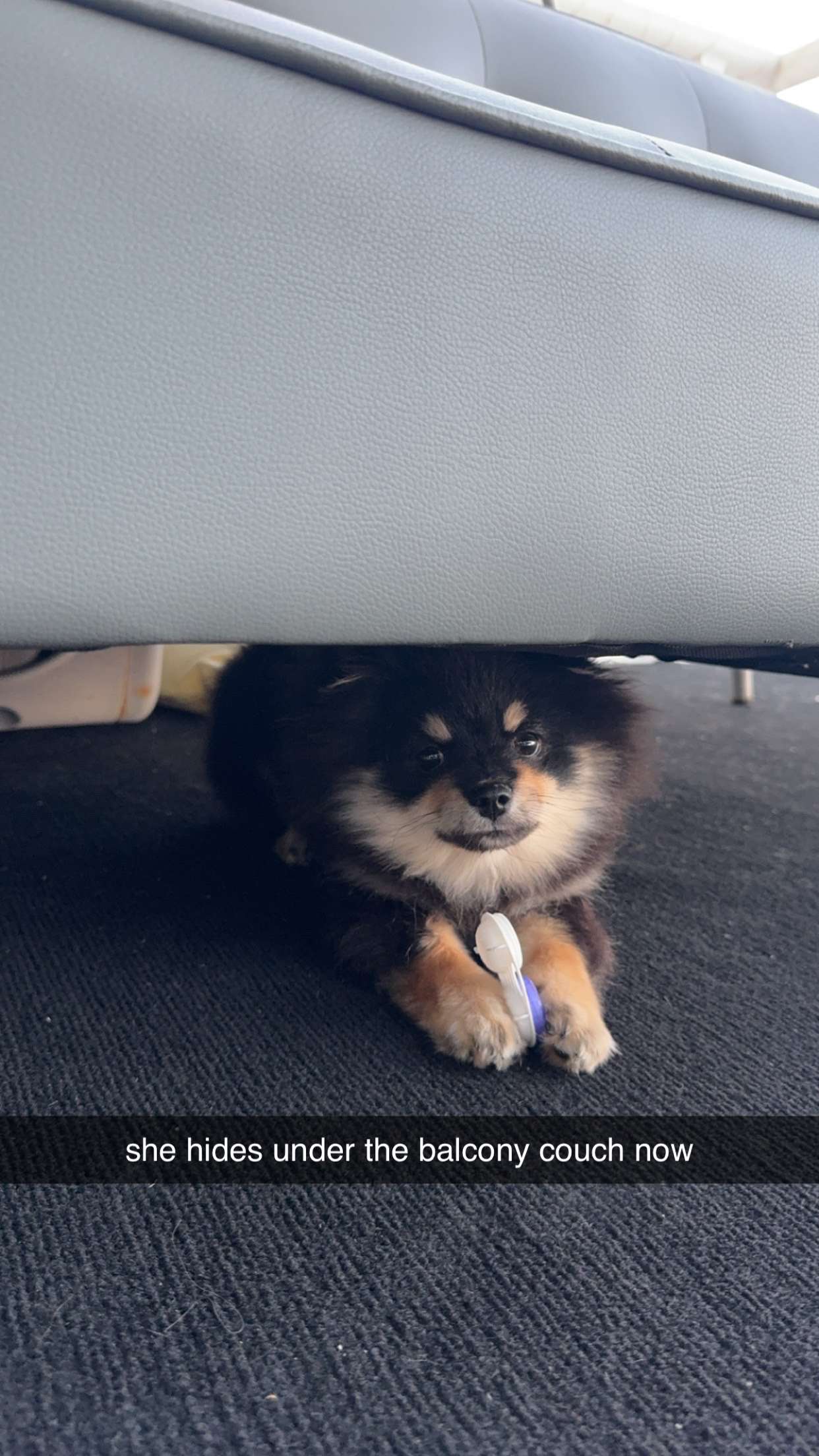 kaygcarlson snapchat image archive image