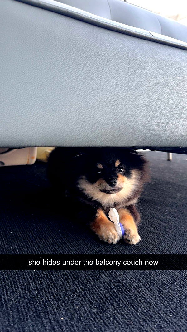 kaygcarlson image ~ Altpins