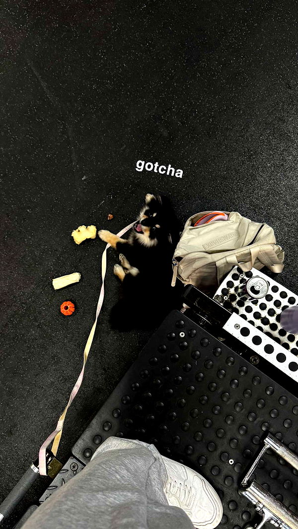 kaygcarlson image ~ Altpins