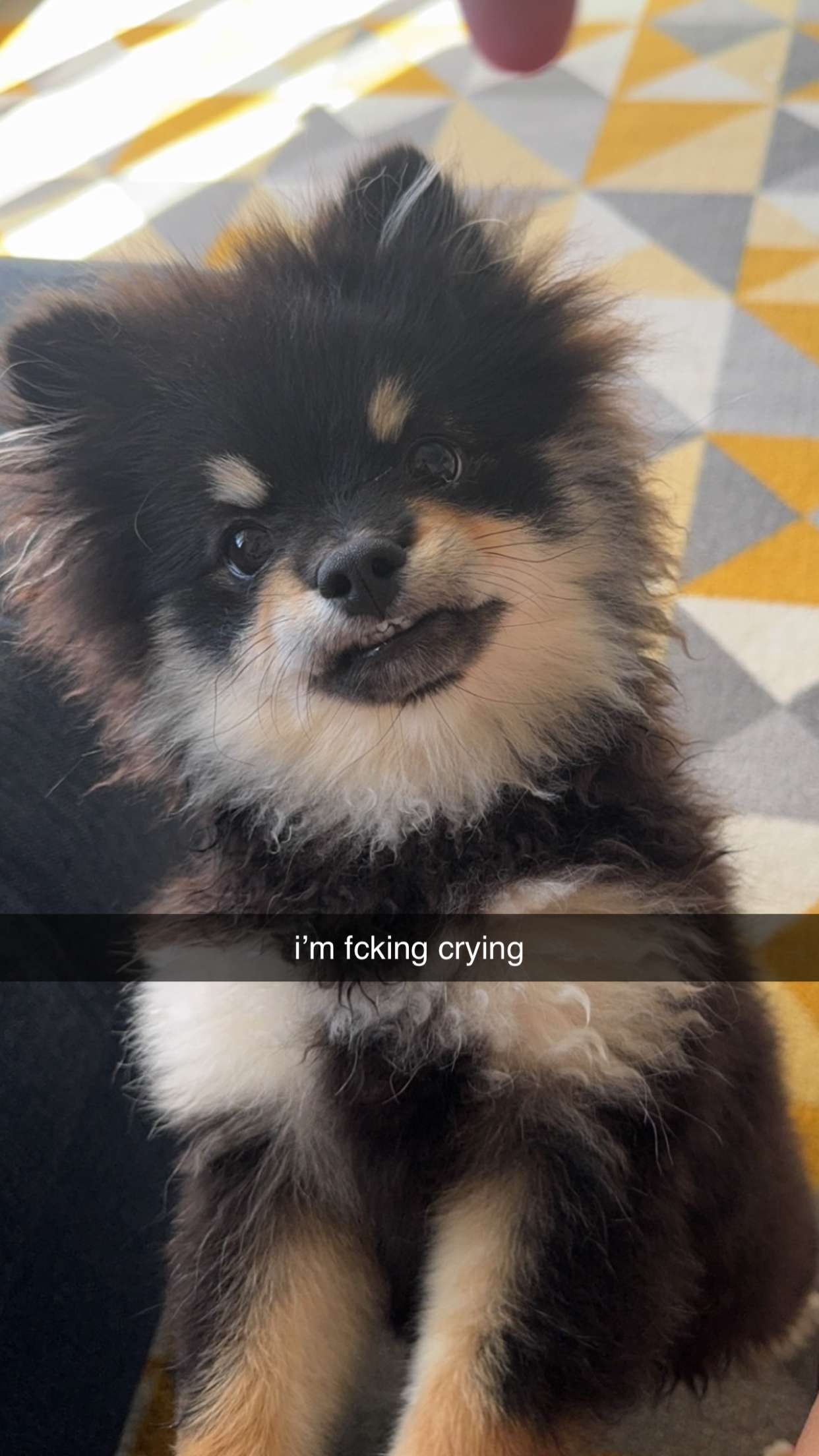 kaygcarlson snapchat image archive image