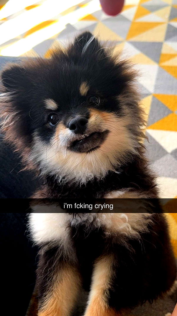 kaygcarlson image ~ Altpins