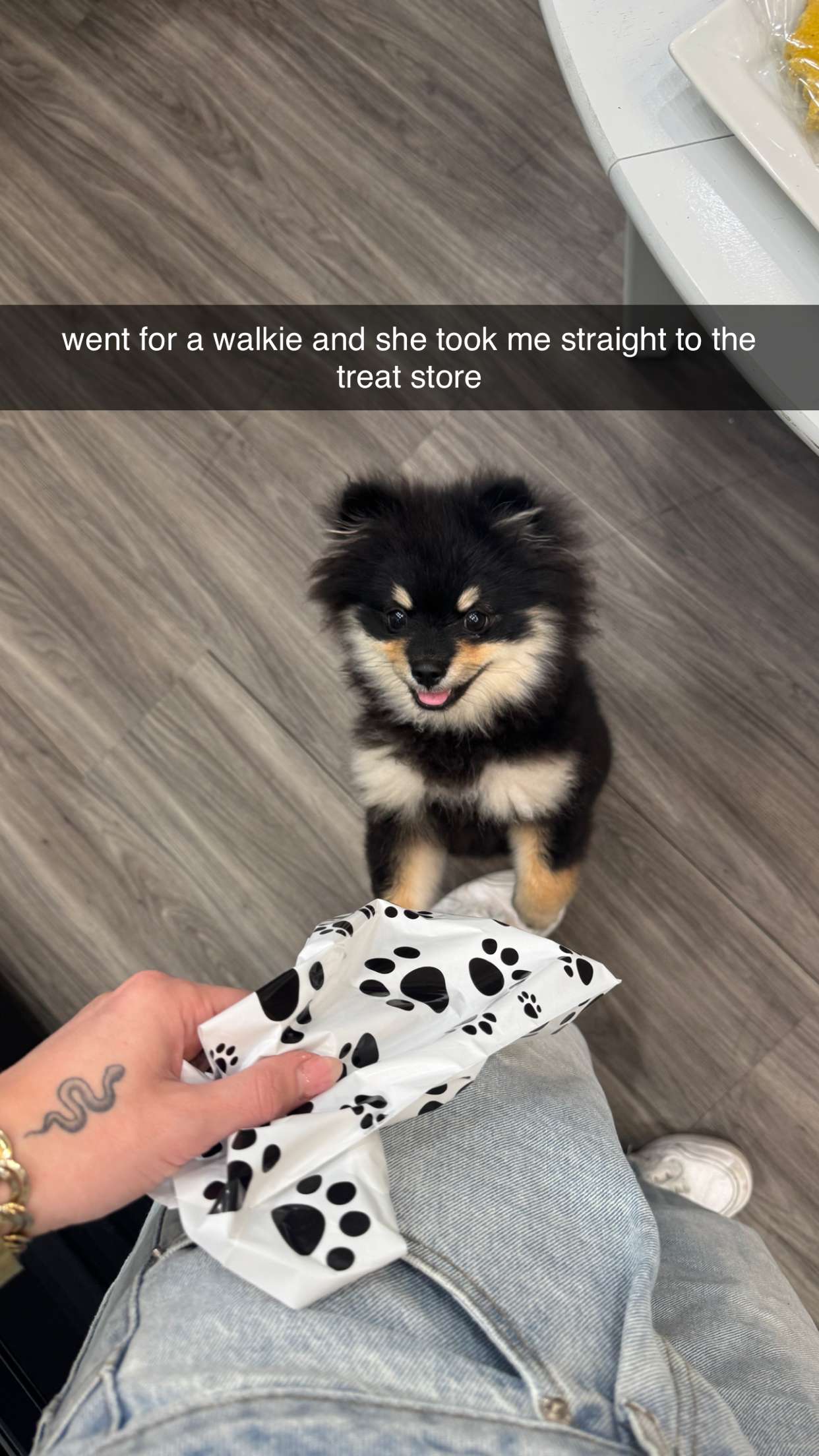 kaygcarlson snapchat image archive image